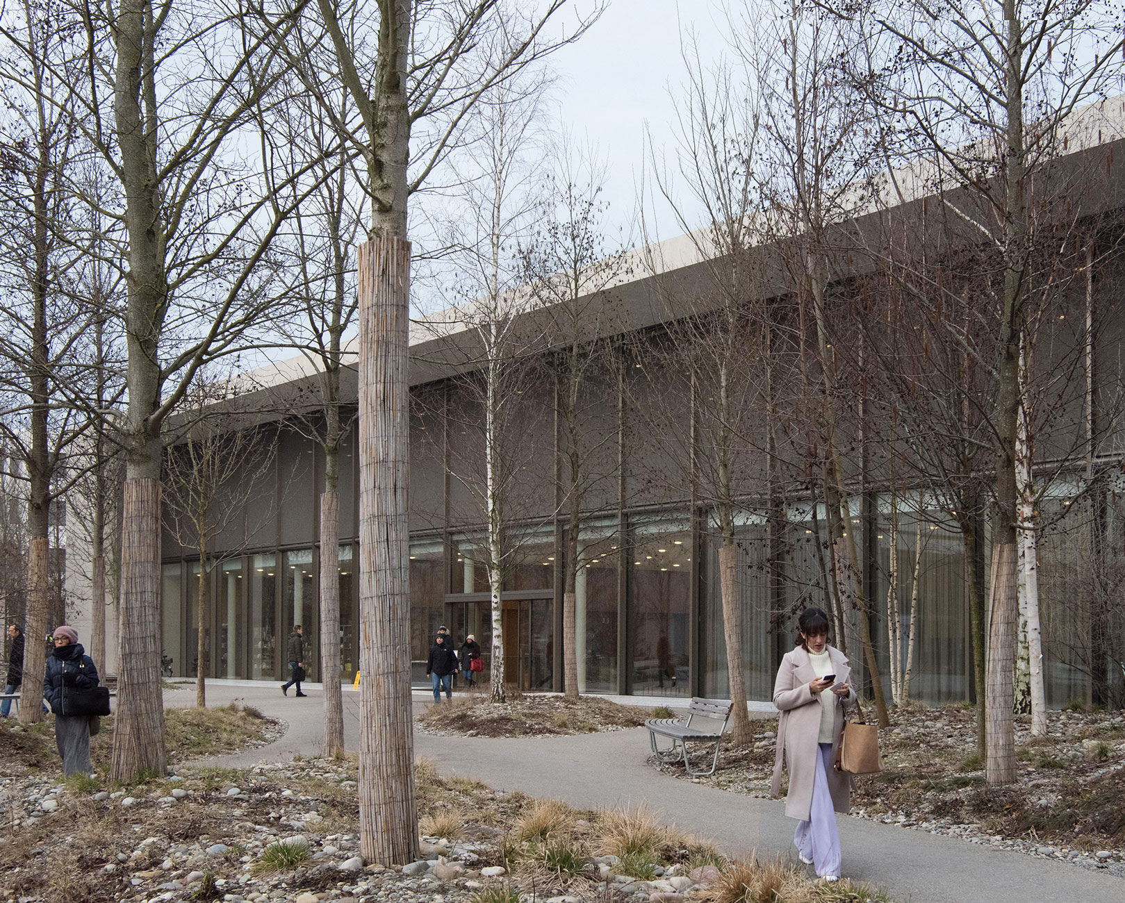 Vegetation in natural form